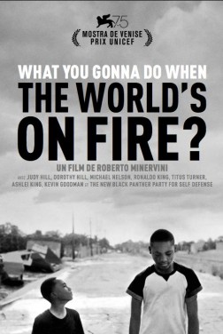 What You Gonna Do When The World's On Fire? (2018)